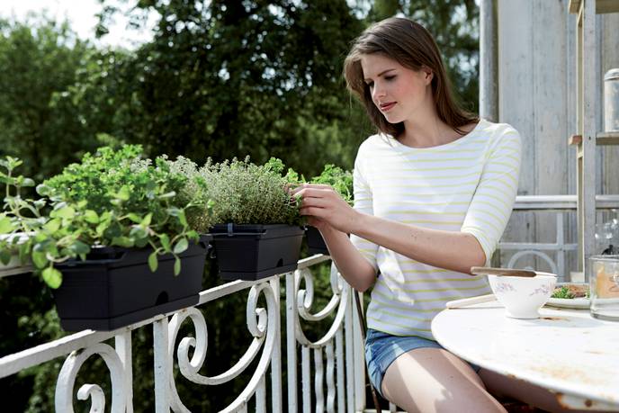 green basics balconnière mini 30cm living noir